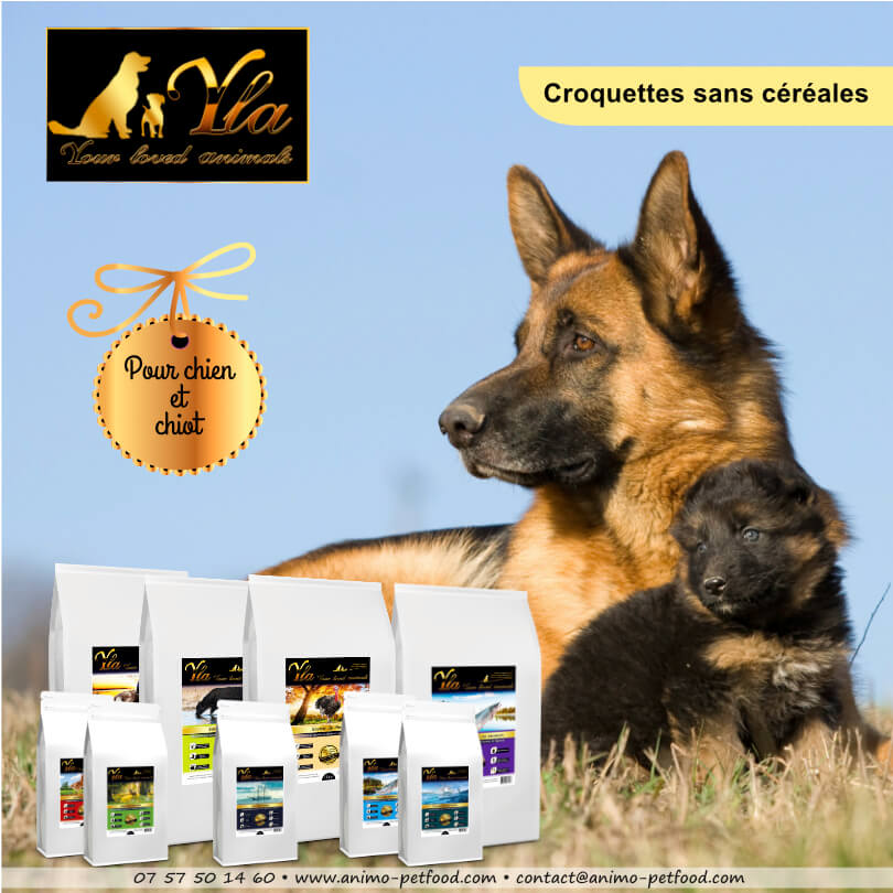 alimentation-sans-cereale-hypoallergenique-chien